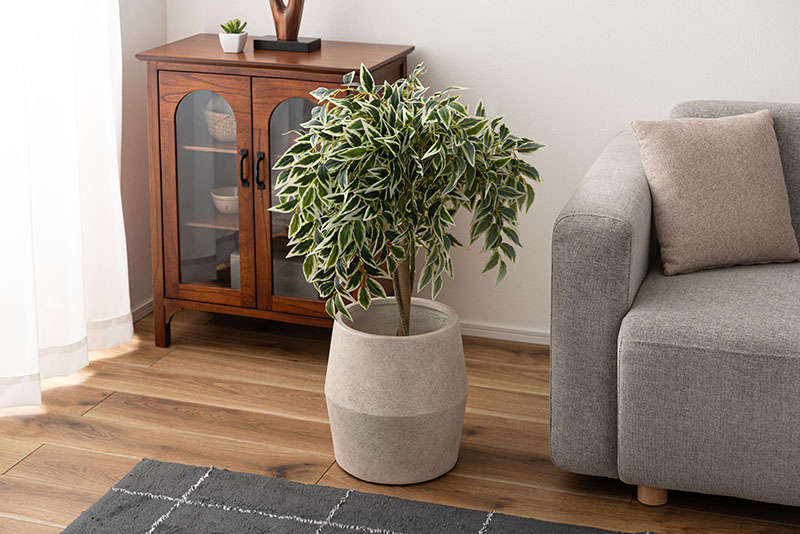 イメージ画像追加　GRN-20