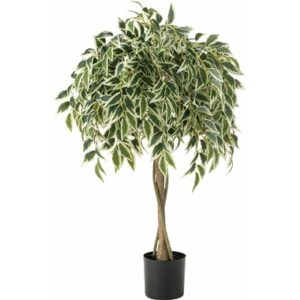 GRN-20の商品画像